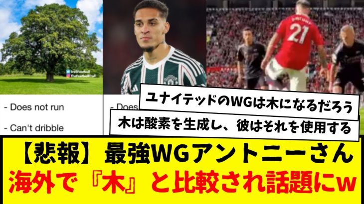 【悲報】ユナイテッドの最強WGアントニーさん、海外でまさかの『木』と比較されて話題にwwwwwwwwww　もはや植物と比べられるとか…wwwww　　　　木の方が優れているとの声wwwwwww