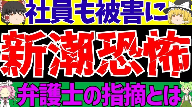 【伊東純也】〇加害疑惑で弁護士の解説と新潮がビビり散らかすw【ずんだもんとゆっくりサッカー解説(ゆくサカの人)】