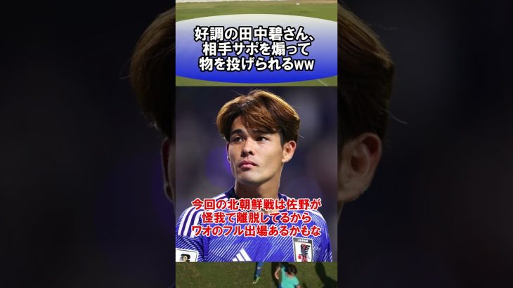 好調の田中碧さん、相手サポに煽って物を投げられるww　#サッカー　#日本代表　#海外サッカー　#5ch