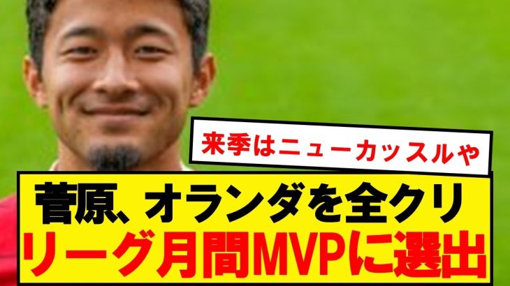 【月間MVP】菅原由勢、23歳でオランダリーグを全クリしてしまうwwwwwwww