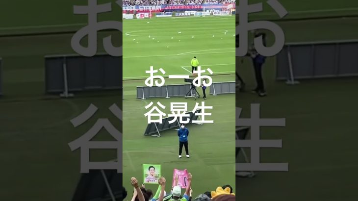 日本代表選出・谷晃生チャント【湘南ベルマーレ】