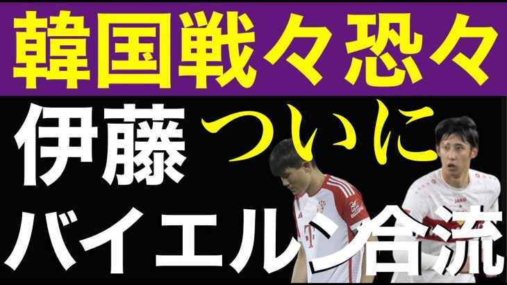 伊藤洋輝バイエルン見参でミンジェと韓国がパニック。伊藤がサイドバックで使われると聞いて狂喜乱舞。S級理論崩壊