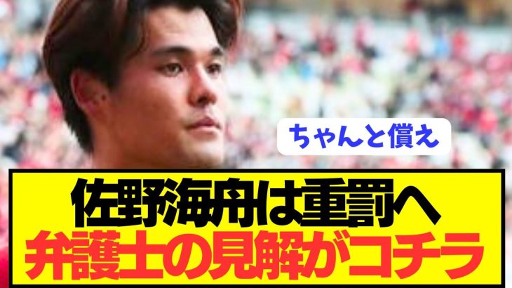 【速報】緊急逮捕の佐野海舟に対する弁護士の見解が想像以上に重罰！！！！