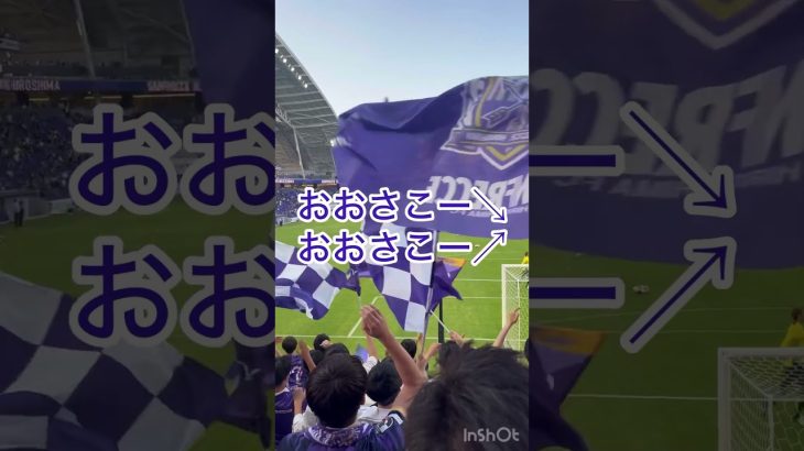 大迫敬介チャント🎵#サンフレッチェ#チャント#jリーグ