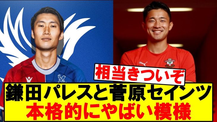 【悲報】鎌田と菅原このままだと降格しそう…………..