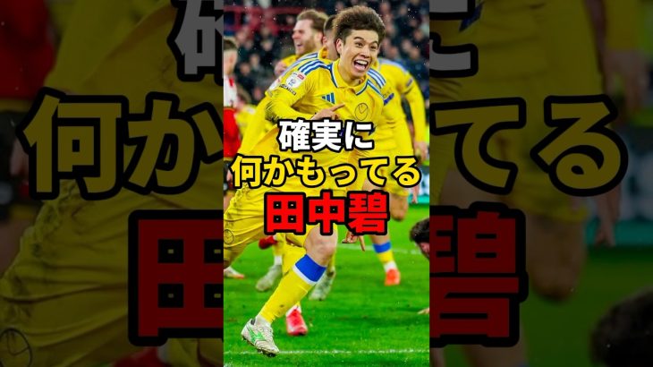 確実に何かもってる田中碧　#サッカー #サッカー日本代表 #日本代表  VOICEVOX「青山龍星」CV:みみっく=わんだぁぼっくす（©ななはぴ）