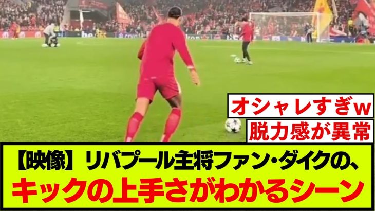 ファン･ダイクのキックの上手さがわかるクールな映像がこちらです【リバプール】