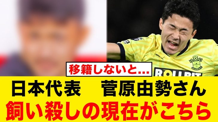 【日本代表】菅原由勢が完全に干されている模様……………