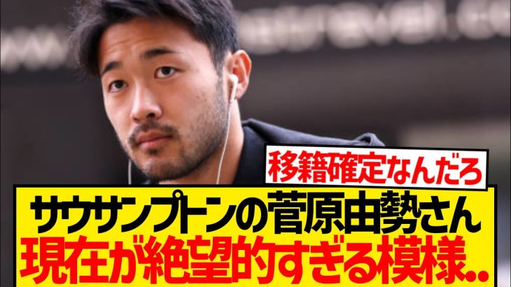 【絶望】菅原由勢さん現在の状況…