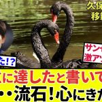 【Take Kubo!!】タケファンには効いたよ（ぐはっ）！！サカダイ記事！！イマノル契約、サディクさん状況、サンセの良き情報も！！