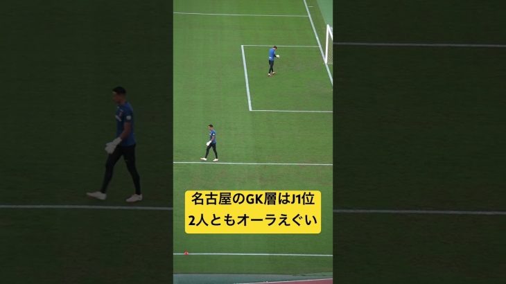 ピサノ&シュミット🧤🧤🧤#名古屋グランパス #ピサノ #シュミットダニエル #ユンカー #山岸祐也 #和泉竜司 #マテウス #稲垣祥 #サッカー日本代表 #jリーグ