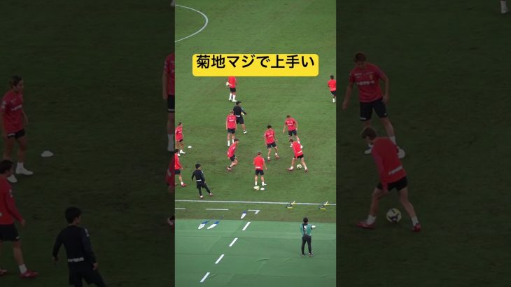 菊地マジで上手い👏👏👏 #名古屋グランパス #ピサノ #シュミットダニエル #ユンカー #山岸祐也 #和泉竜司 #マテウス #稲垣祥 #サッカー日本代表 #jリーグ