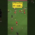 グランパスボール回し🤤🤤🤤#名古屋グランパス #ピサノ #シュミットダニエル #ユンカー #山岸祐也 #和泉竜司 #マテウス #稲垣祥 #サッカー日本代表 #jリーグ