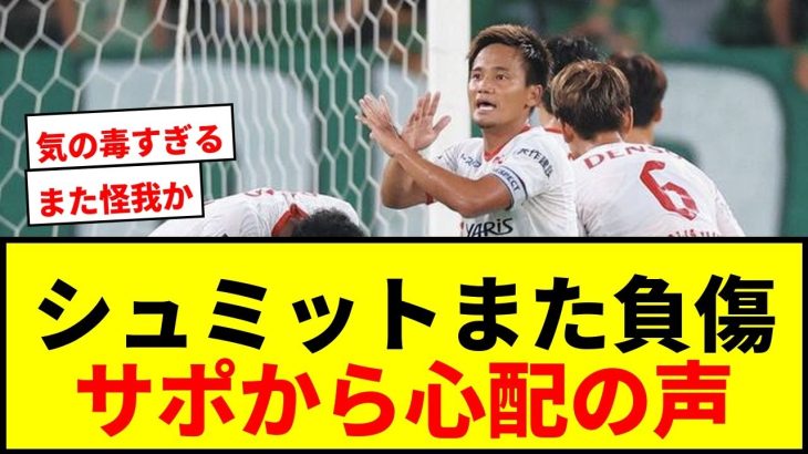 【緊急事態】名古屋グランパスGKシュミットがまたも負傷交代…度重なる怪我にサポーターから心配の声【天皇杯】