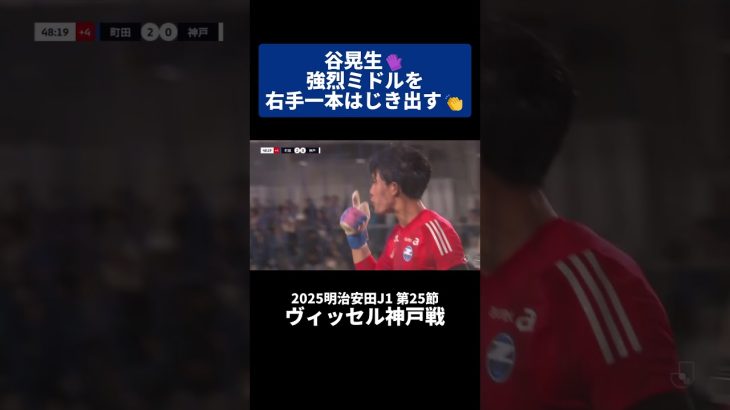 守護神・谷晃生が強烈ミドルを右手一本はじき出す👏｜#ヴィッセル神戸 戦 #shorts #Jリーグ #サッカー