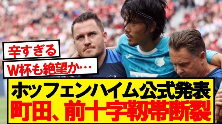 【絶望】ホッフェンハイム町田、前十字靭帯断裂と診断…