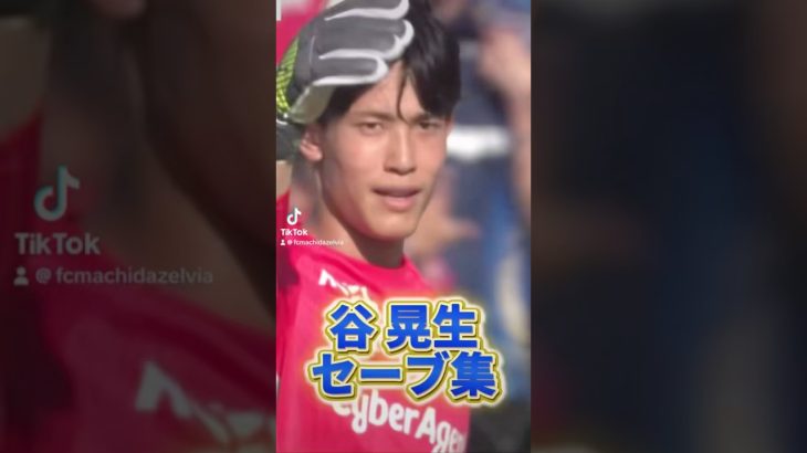 【連勝を支える守護神！】#谷晃生 のセーブ集 #ＦＣ町田ゼルビア #zelvia
