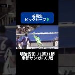 谷晃生のビッグセーブ🧤｜#京都サンガFC 戦 #shorts #Jリーグ #サッカー