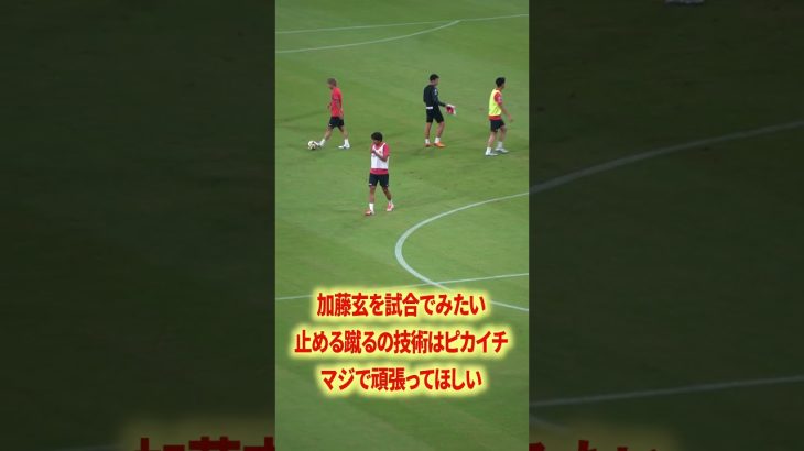 加藤玄マジで頑張れ#名古屋グランパス #長友佑都  #シュミットダニエル #ユンカー #山岸祐也 #和泉竜司 #マテウス #稲垣祥 #サッカー日本代表 #jリーグ #川崎フロンターレ #サッカー