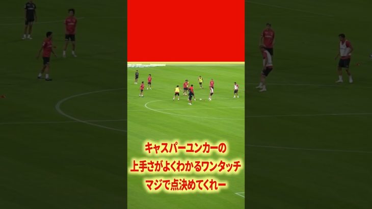 キャスパーユンカーの上手さよ#名古屋グランパス #ピサノ #シュミットダニエル #ユンカー #山岸祐也 #和泉竜司 #マテウス #稲垣祥 #サッカー日本代表 #jリーグ
